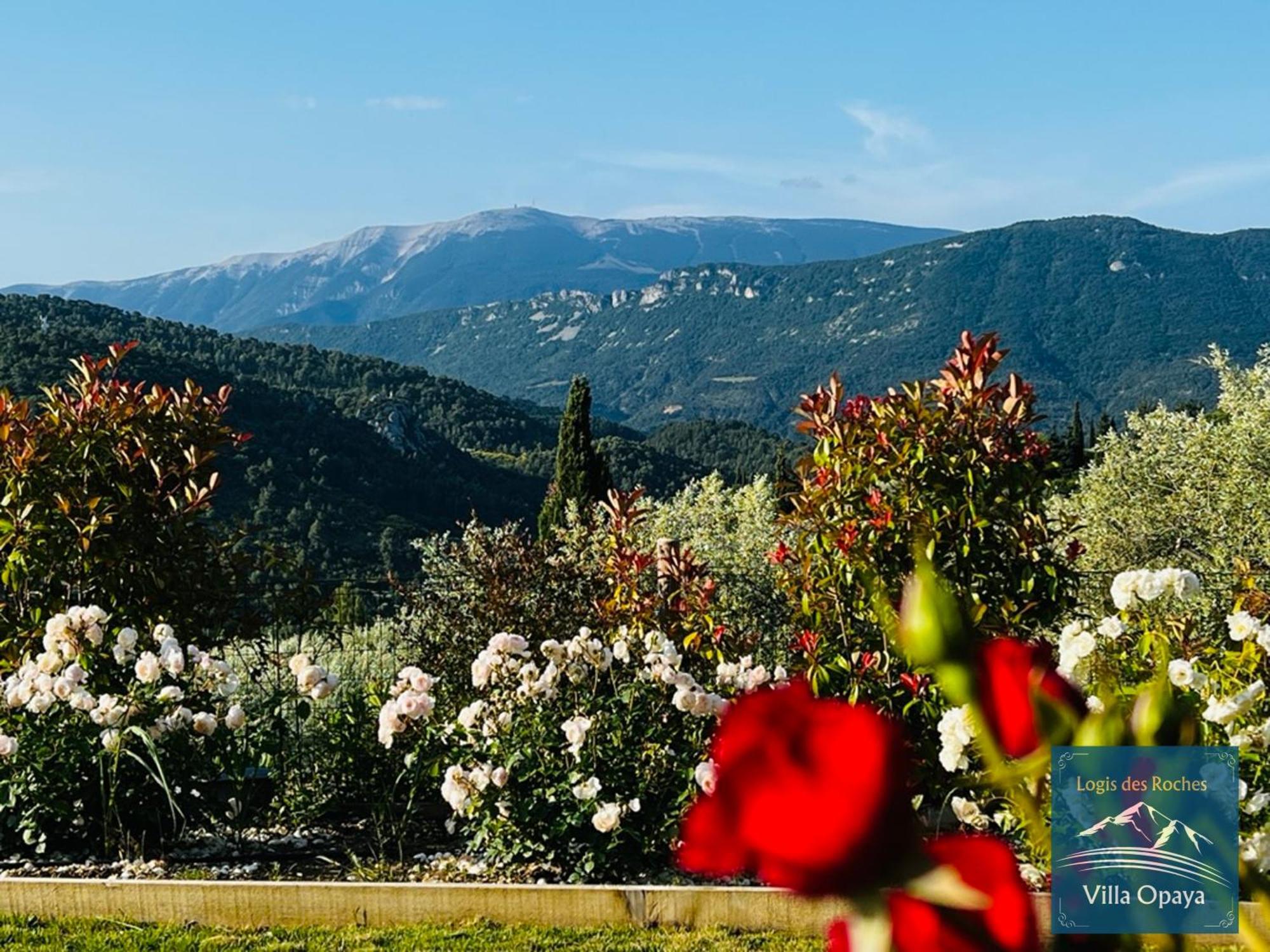 Logis Des Roches - 3 Villas Vue Exceptionnelle - Le Petit Chevalet, Le Grand Sabouillon & La Villa Opaya Buis-les-Baronnies Exteriör bild