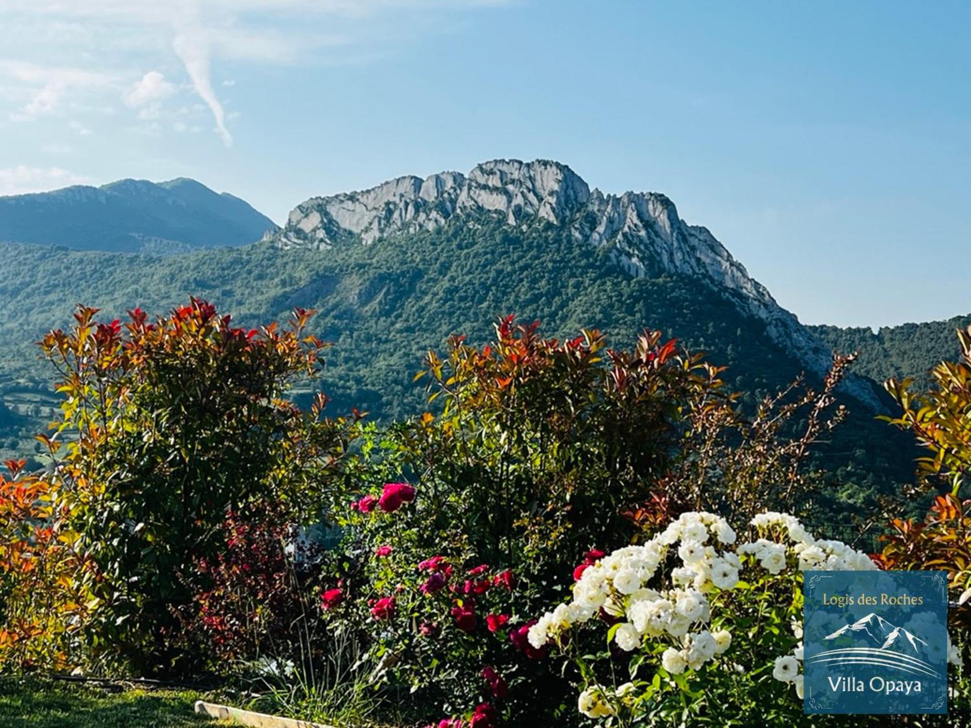 Logis Des Roches - 3 Villas Vue Exceptionnelle - Le Petit Chevalet, Le Grand Sabouillon & La Villa Opaya Buis-les-Baronnies Exteriör bild